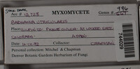 Image Associated With the Occurence